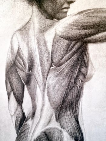 artworkAlt
